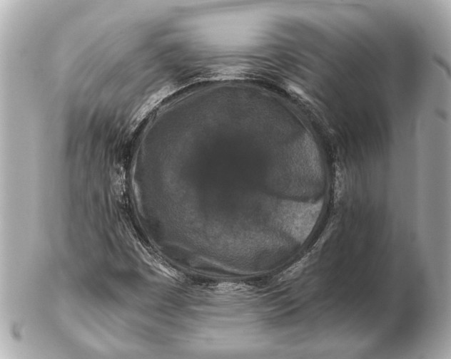 X0000102511449200808291723