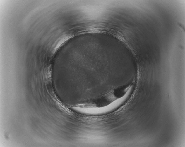 X0000102511450200808291723