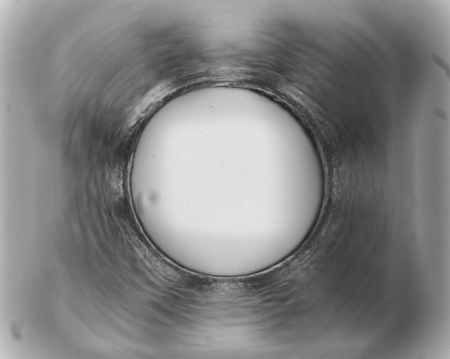 X0000102511451200808291723