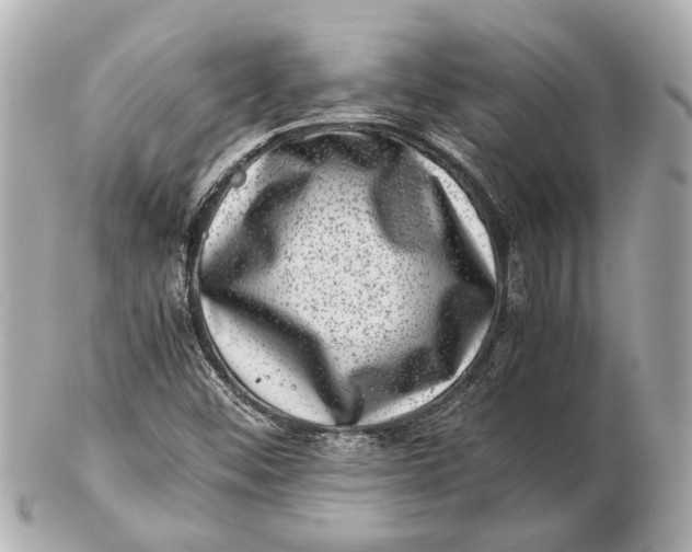 X0000102511452200808291723