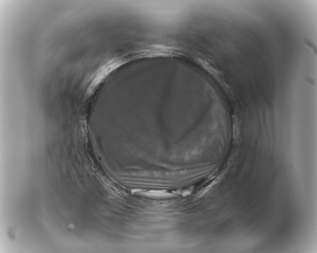 X0000102511453200808291723