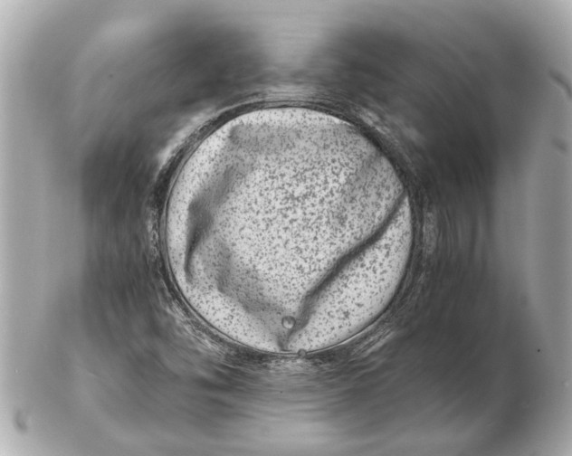 X0000102511454200808291723