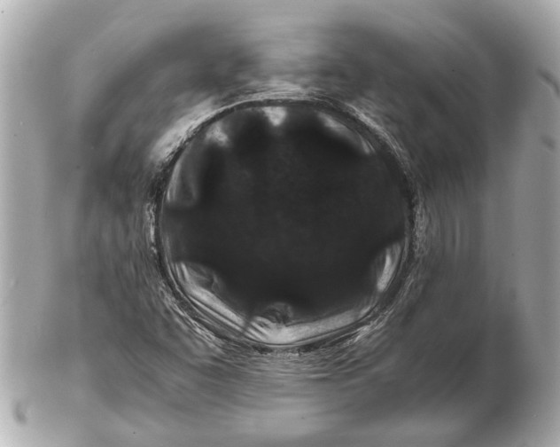 X0000102511455200808291723