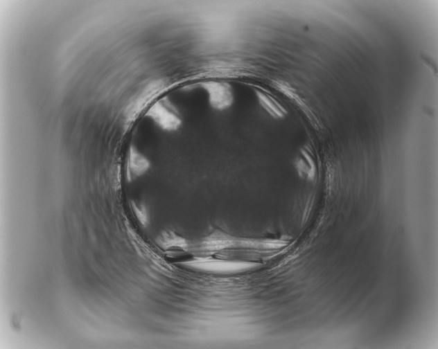 X0000102511459200808291723