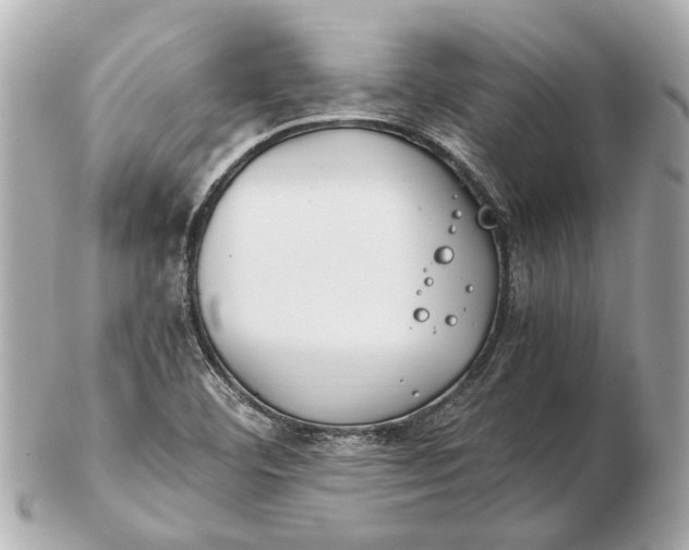 X0000102511460200808291723