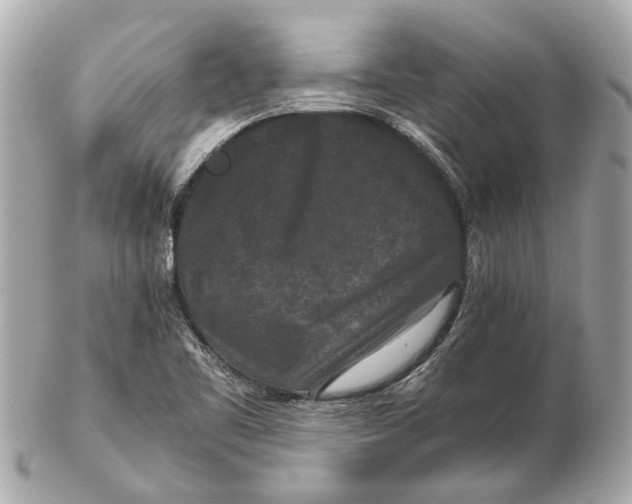 X0000102511461200808291723