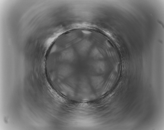 X0000102511463200808291723