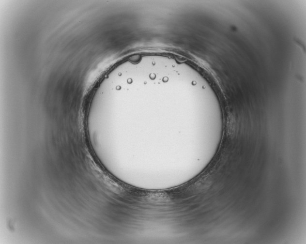 X0000102511464200808291723