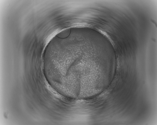 X0000102511467200808291723