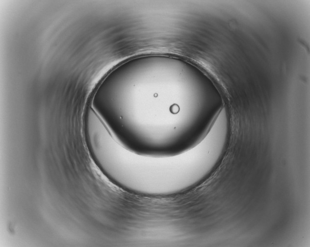 X0000102511468200808291723