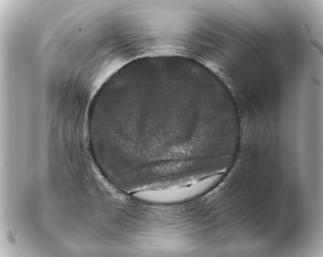 X0000102511469200808291723
