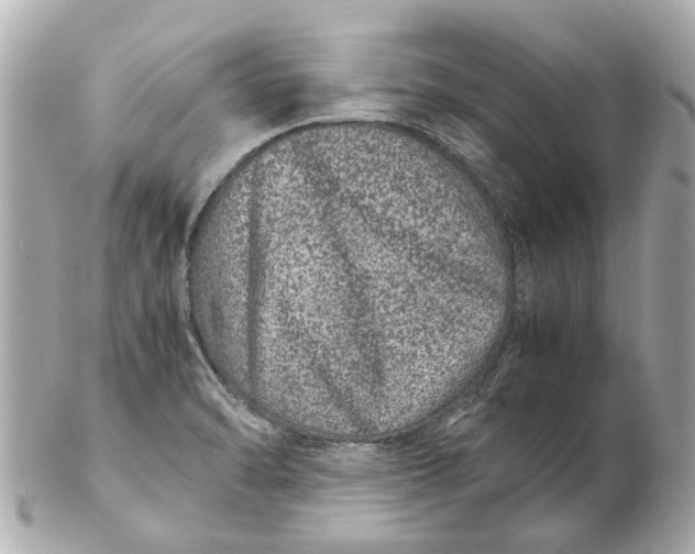 X0000102511470200808291723
