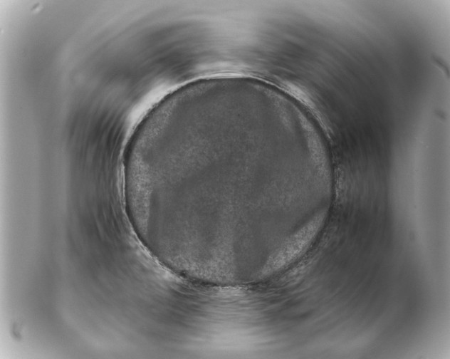 X0000102511472200808291723