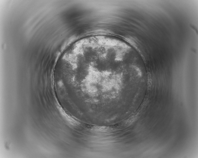 X0000102511474200808291723