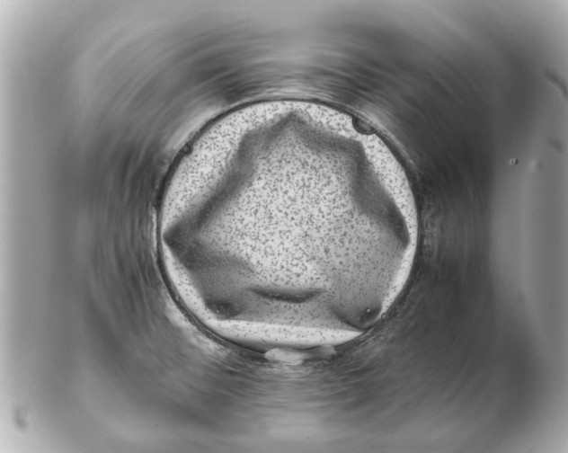 X0000102511476200808291723