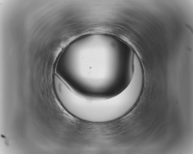X0000102511477200808291723