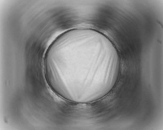 X0000102511478200808291722
