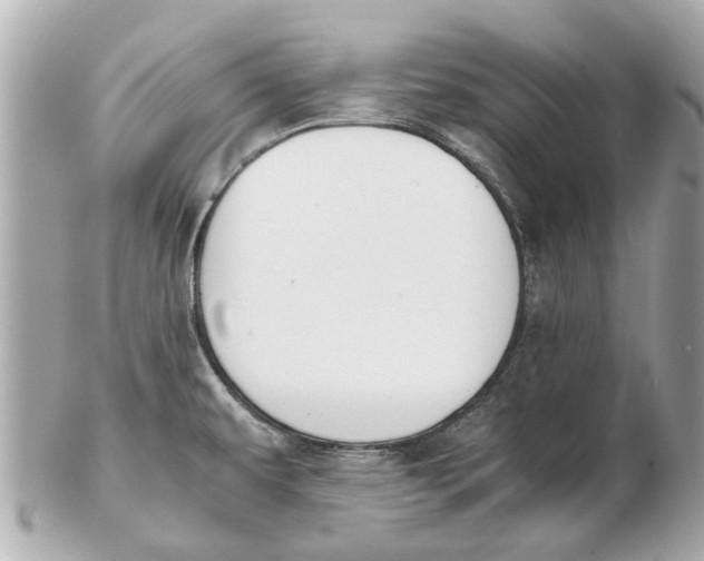 X0000102511479200808291722