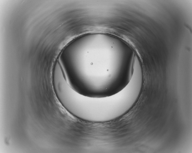 X0000102511480200808291722