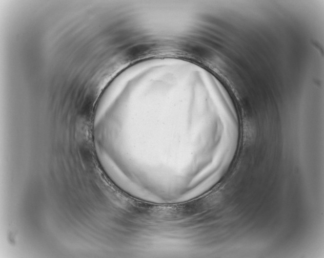 X0000102511481200808291722