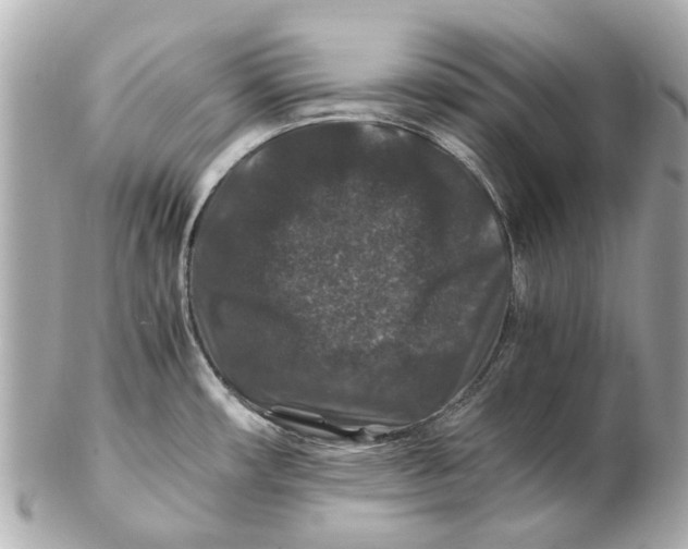 X0000102511482200808291722