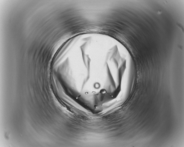 X0000102511483200808291722