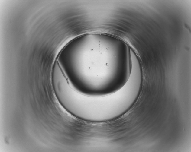 X0000102511484200808291722