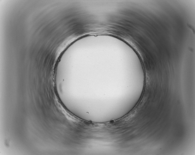 X0000102511485200808291722