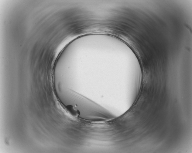X0000102511486200808291722