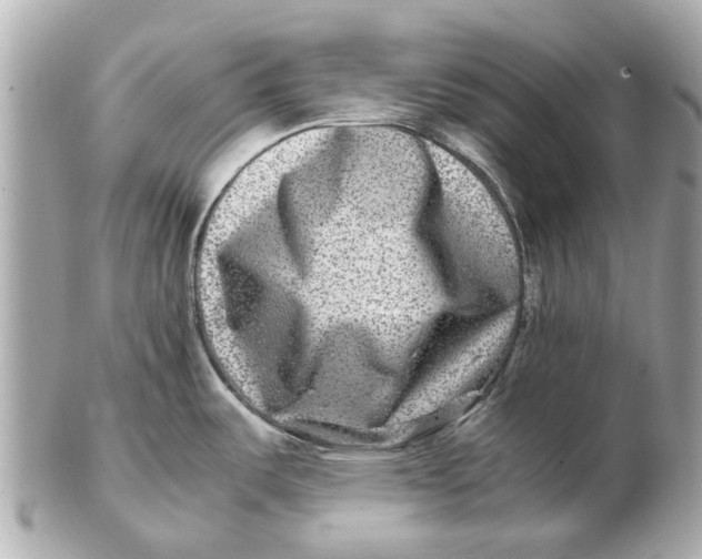X0000102511487200808291722