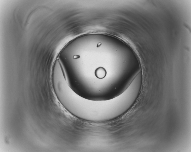 X0000102511488200808291722