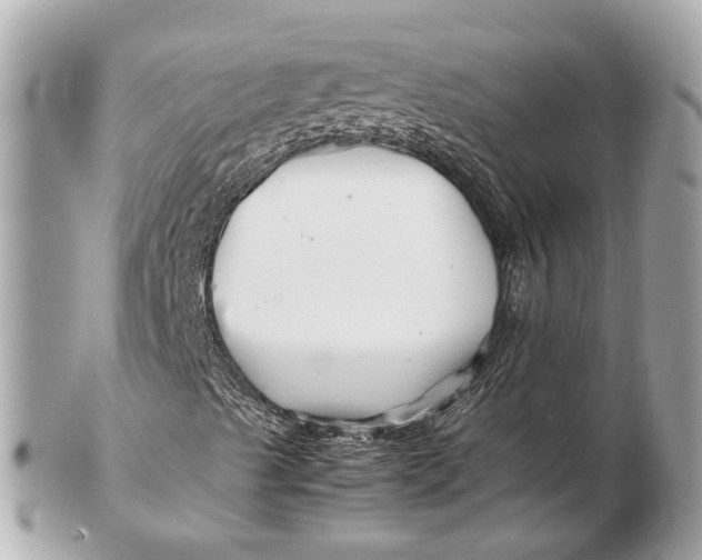 X0000102511489200808291722