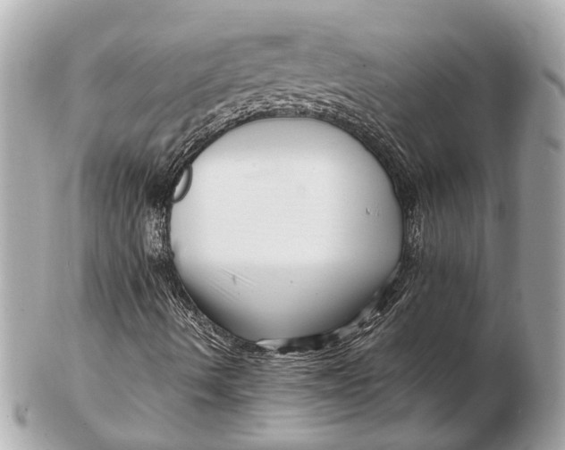 X0000102511490200808291722