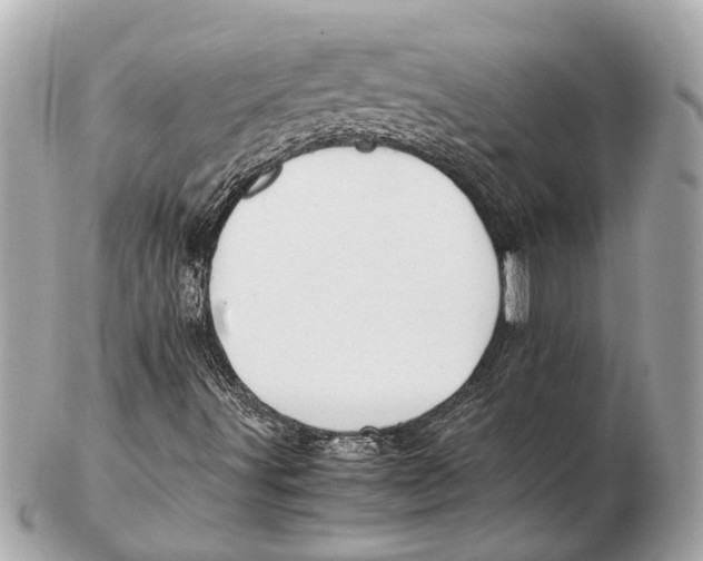X0000102511491200808291722