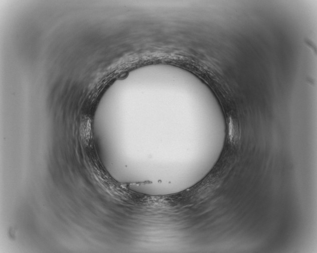 X0000102511492200808291722