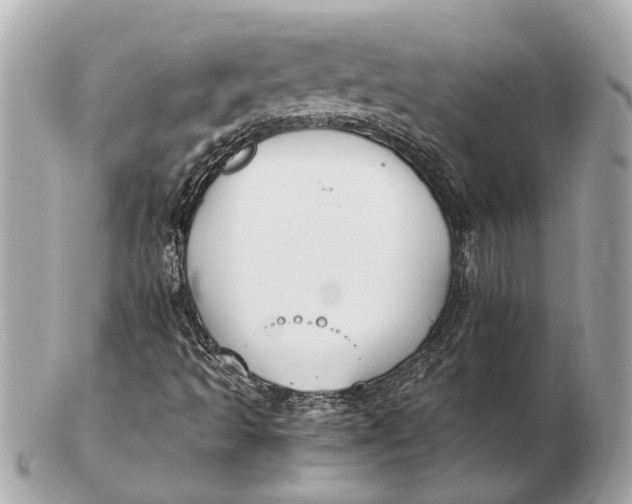 X0000102511493200808291722