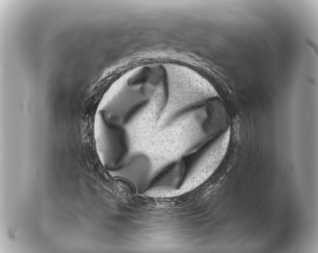 X0000102511494200808291722