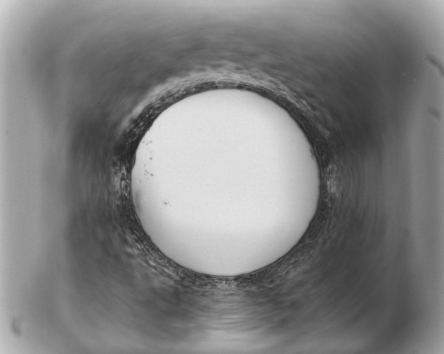 X0000102511495200808291722