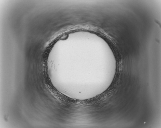 X0000102511496200808291722