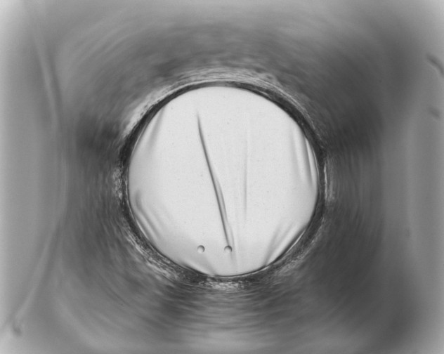 X0000102511501200808291722