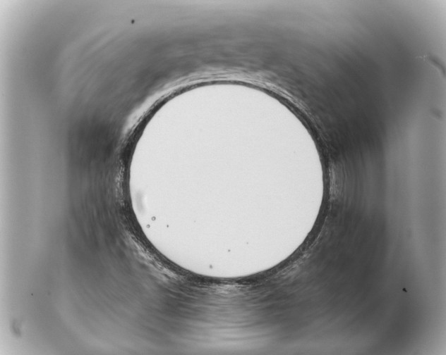 X0000102511502200808291722