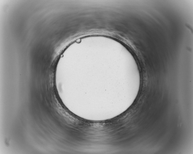 X0000102511504200808291722