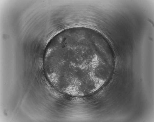 X0000102511505200808291722
