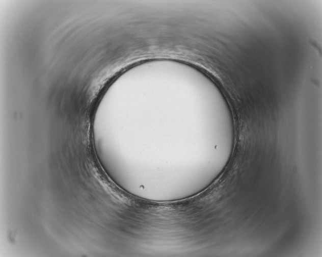 X0000102511507200808291722
