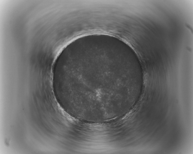 X0000102511508200808291722