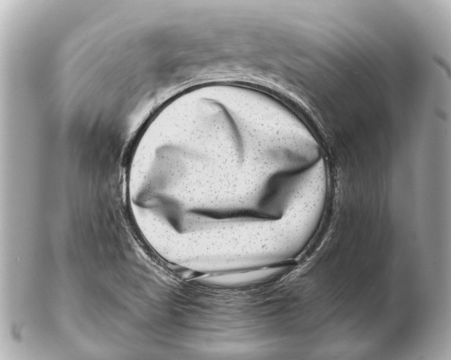 X0000102511509200808291722