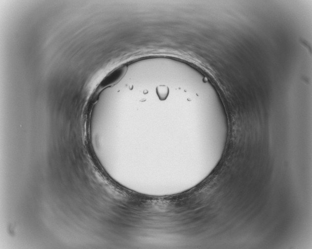 X0000102511511200808291722