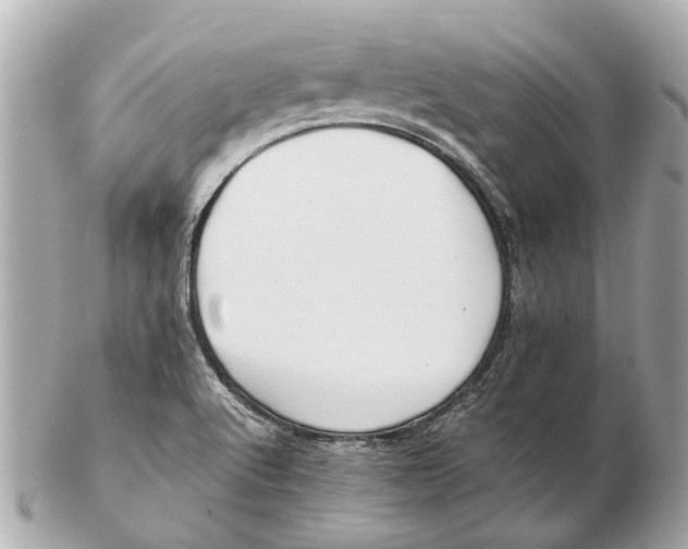 X0000102511512200808291722
