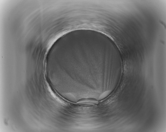 X0000102511515200808291722