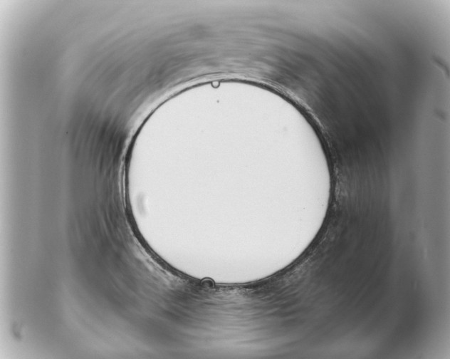 X0000102511516200808291722